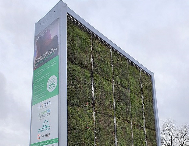 Дрвеће направљено од маховине као моћан филтер ваздуха